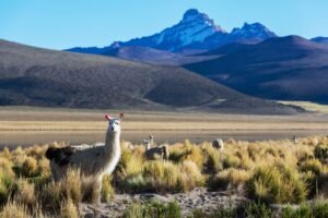 Lima, Machu Picchu y Chile 10 días