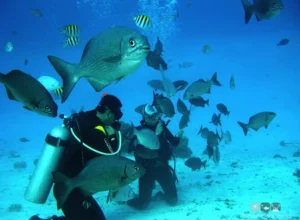 BUCEO en San Andrés