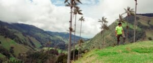 EL PAISAJE CULTURAL CAFETERO